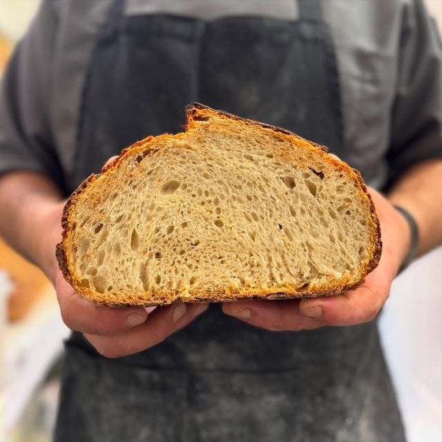 Il nostro pane è fatto con farine di 𝗴𝗿𝗮𝗻𝗶 𝗮𝗻𝘁𝗶𝗰𝗵𝗶 𝗰𝗼𝗹𝘁𝗶𝘃𝗮𝘁𝗶 𝗶𝗻 𝗯𝗶𝗼𝗹𝗼𝗴𝗶𝗰𝗼 𝗻𝗲𝗹𝗹’𝗲𝗻𝘁𝗿𝗼𝘁𝗲𝗿𝗿𝗮 𝘁𝗿𝗮𝗽𝗮𝗻𝗲𝘀𝗲 da Giuseppe De Filippi, macinate a pietra per preservare sapore, nutrienti e digeribilità.
Impastato con lievito madre, solo acqua e farina. Nient’altro.

Un pane vivo, profumato, che racconta di terra, di mani, di tempo.
Lo serviamo ogni giorno con orgoglio, perché rappresenta perfettamente ciò in cui crediamo: buono, sano, giusto.

𝗣𝗲𝗿 𝗽𝗿𝗲𝗻𝗼𝘁𝗮𝘇𝗶𝗼𝗻𝗶:
𝐨n l𝐢n𝐞—> link in bio
𝒕𝒆𝒍 𝒆 𝒘𝒉𝒂𝒕𝒔𝒂𝒑𝒑 —> 0510390032
𝙢𝙖𝙞𝙡—> info@lasvoltabologna.it

𝙢𝙚𝙣𝙪̀ 𝙤𝙣 𝙡𝙞𝙣𝙚—> link in bio

#bolognacentro #bolognawelcome #bolognafood #km0 #zerowaste #ristorantebologna #vegetariano #vegano #veganbolognese #stagionalitàincucina #biologico #vininaturali #sostenibilità #CucinaVegetale #VeganMaConGusto	#KmZero #CiboEtico•	#MangiaConsapevole #SosteniamoIPiccoliProduttori #CiboVero #CucinaCreativa #CaprinoVegano #FilieraCorta